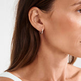 Media 2