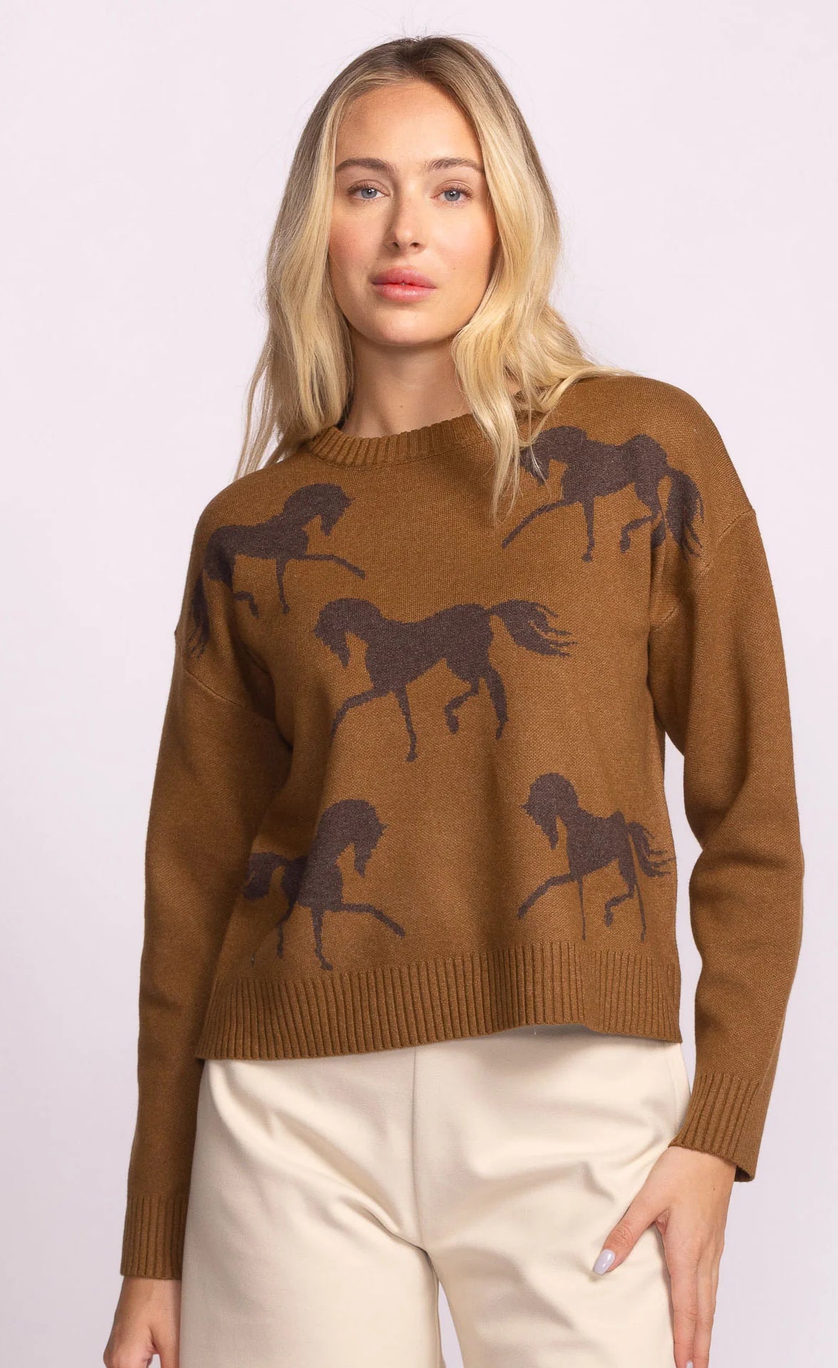 Pink Martini Meadow Sweater BRN