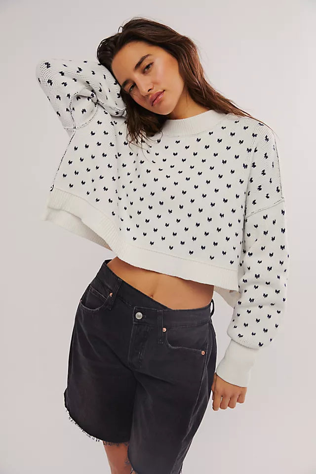 Free People Easy Street Patterned Crop Sweater WHT/NVY